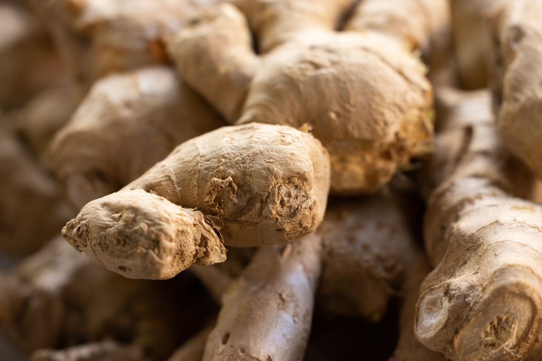 Photo jengibre: ginger root