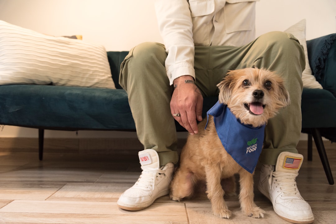 Professional Dog Walking and Pet-Sitting Services